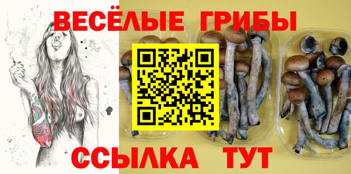 Галлюциногенные грибы Psilocybine cubensis  Вход с VPN  Туймазы 